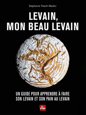 cover image of Levain, mon beau levain